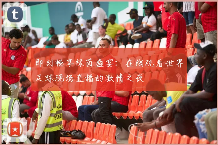 即刻畅享绿茵盛宴：在线观看世界足球现场直播的激情之夜