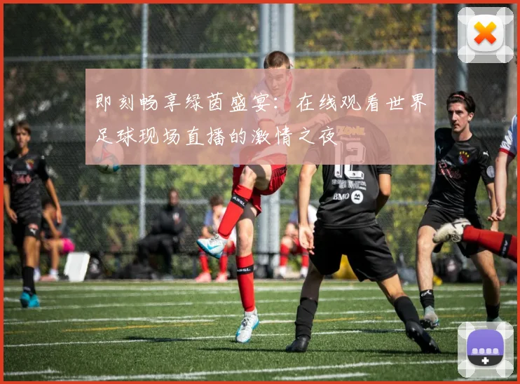 即刻畅享绿茵盛宴:在线观看世界足球现场直播的激情之夜